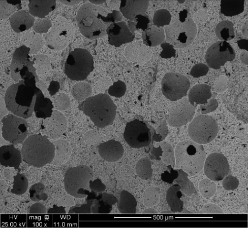Structure of Z2 design NP-D4-303D3.5W10X-5000-VKBT25; original scale and acquisition labels retained.