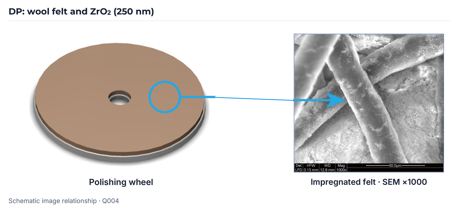 DP wheel and impregnated wool felt; SEM photograph with original 50 µm scale, Q004 version.