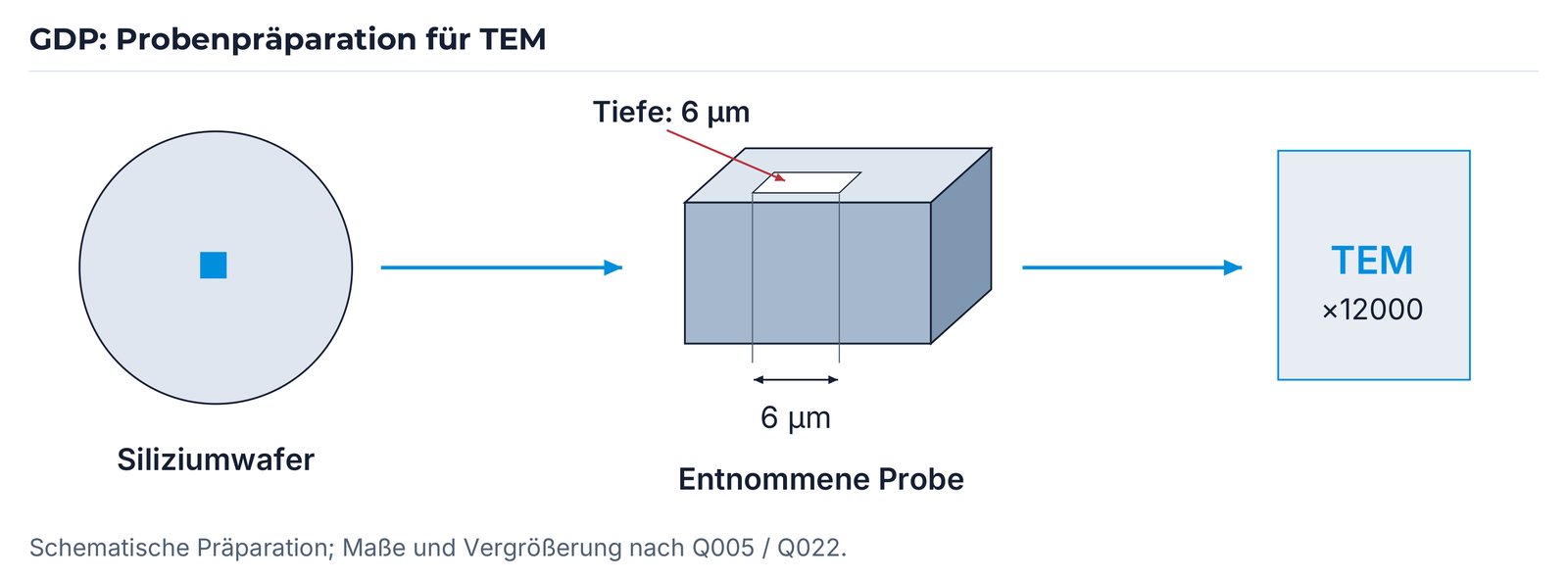 Neu gesetztes Präparationsschema mit beiden 6-µm-Angaben und TEM ×12000.