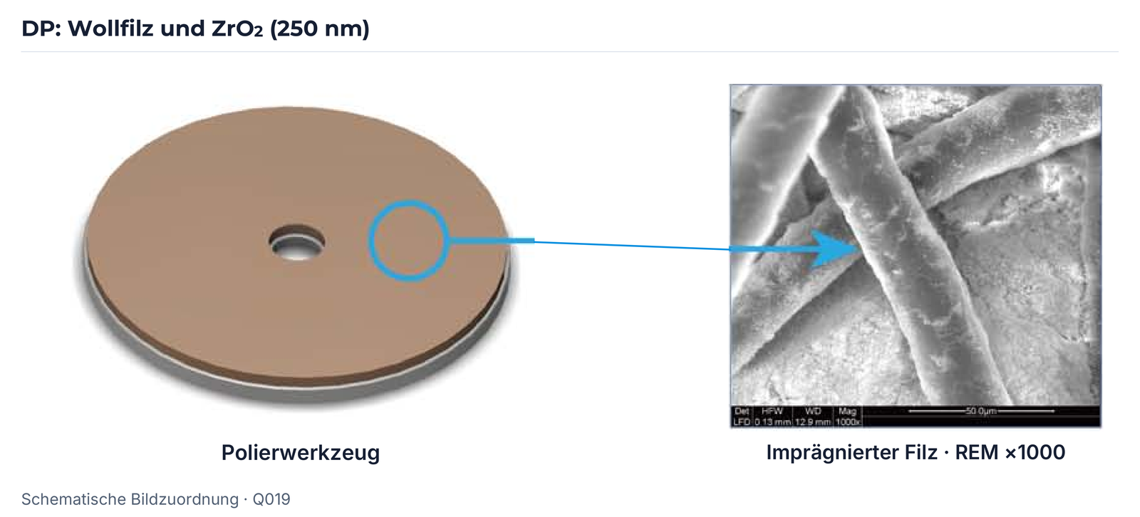 DP-Werkzeug und imprägnierter Wollfilz; REM-Aufnahme mit Originalmaßstab 50 µm, Fassung Q019.