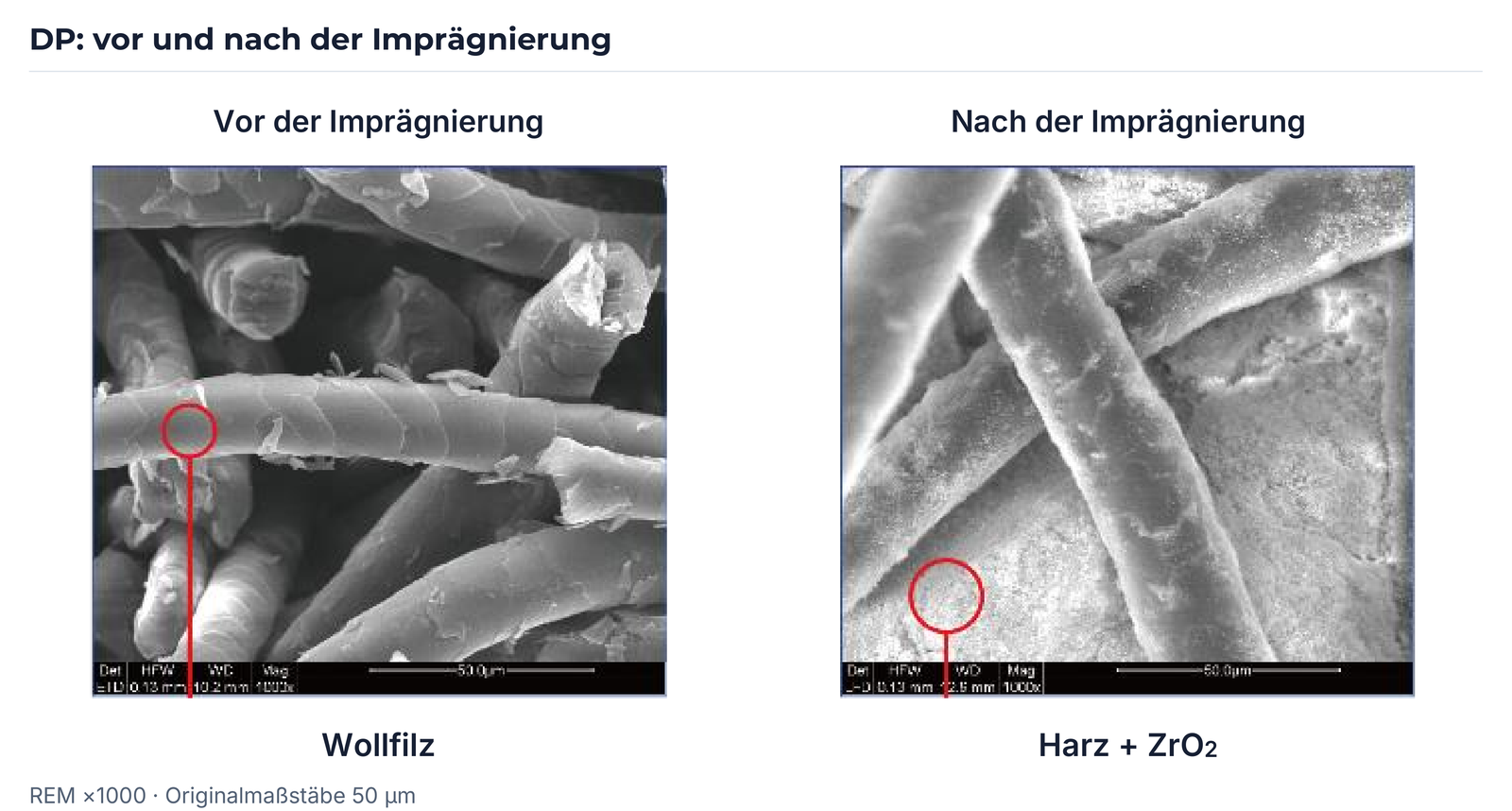 REM-Vergleich vor und nach der Imprägnierung nach Q232, mit erhaltenen Originalmarkierungen und Maßstäben.